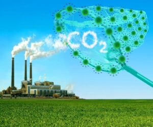 Tăng cường hấp thụ CO2